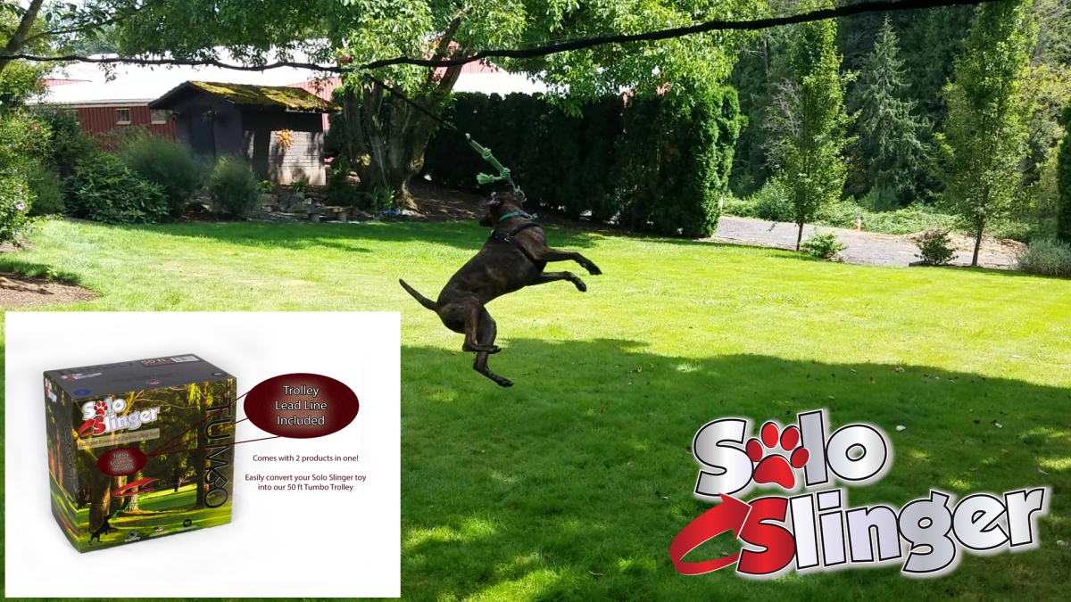 Solo Slinger Zipline Dog Toy With 50 Ft Trolley Included