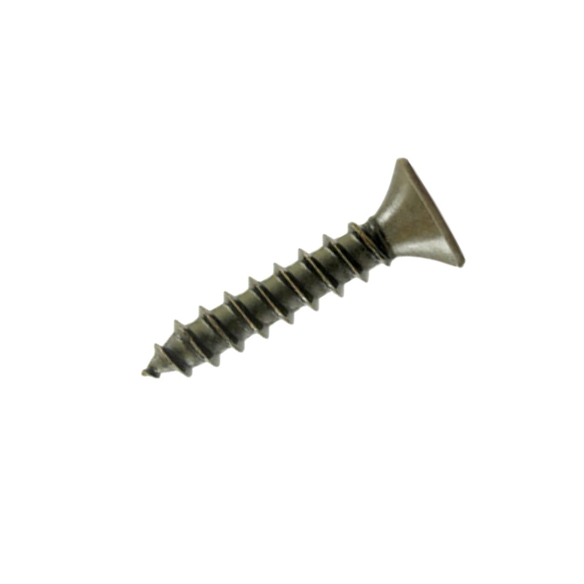 Picture of Deltana SCWS1010U5 1 in. Wood Screw No. 10- Antique Brass - Steel