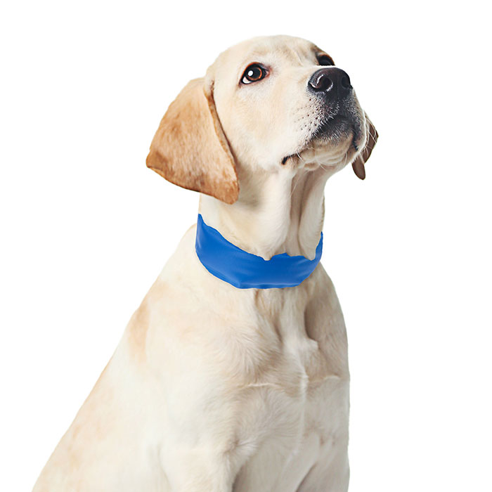 Petmaker 80-pet5059 Up To 18 In. Cooling Pet Collar - Blue