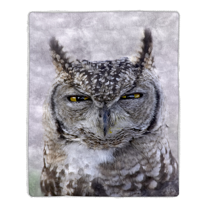 Lavish Home 64-owl Sherpa Fleece Throw Blanket- Owl Print Pattern