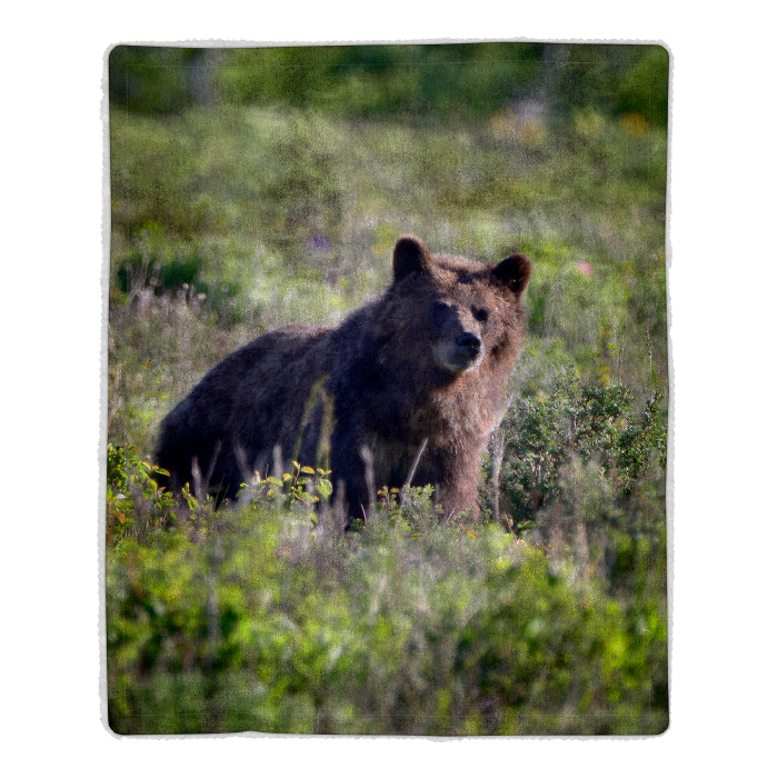 Lavish Home 64-bear Sherpa Fleece Throw Blanket- Grizzly Bear Print Pattern