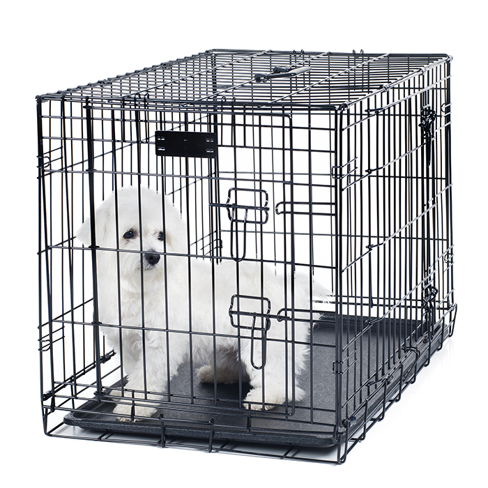 Petmaker 80-241501 24 X 19 In. Door Foldable Dog Crate Cage