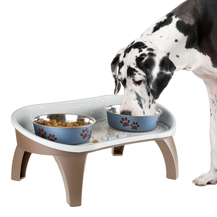 Picture for category Bowls & Feeders