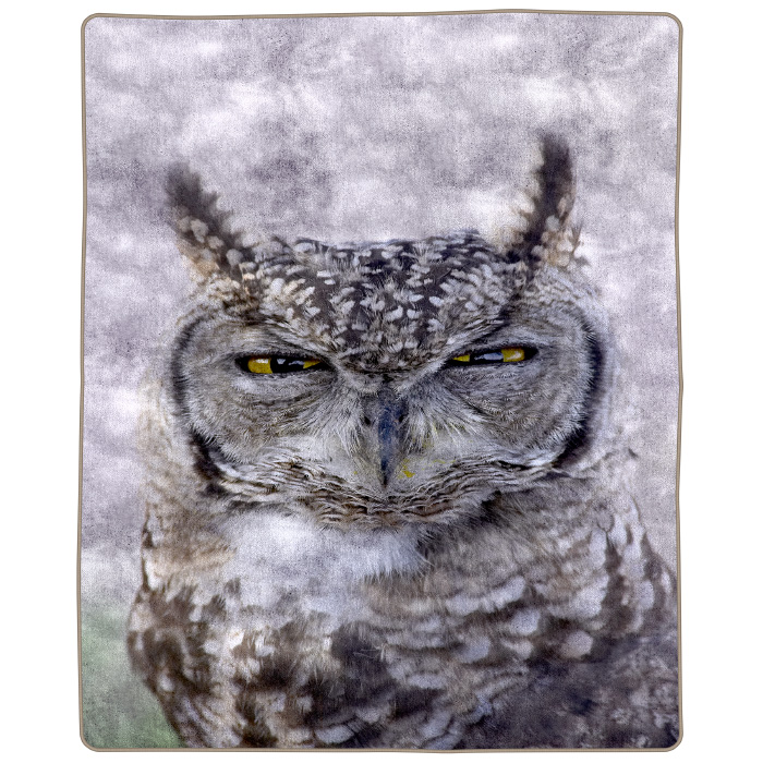 Lavish Home 66-b-owl 74 X 91 In. 8 Lbs Heavy Fleece Blanket With Owl Pattern Plush Thick Faux Mink Soft Blanket For Couch Sofa Bed