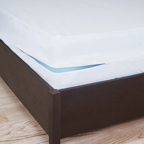 64-00001-box-f Bed Bug Dust Mite Box Spring Protector, Full Size