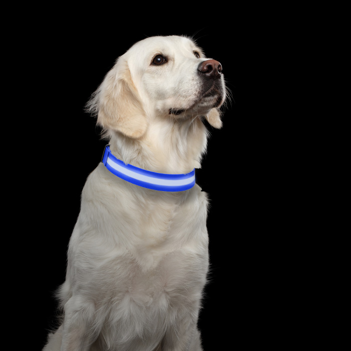 Petmaker 80-pet6127lb Led Large Dog Collar - Blue
