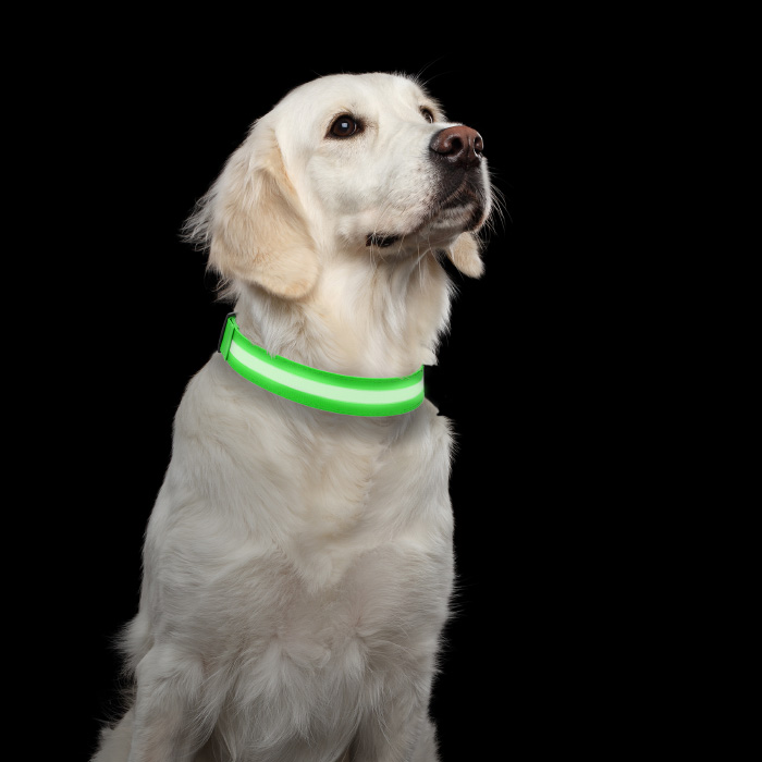 Petmaker 80-pet6127lg Led Large Dog Collar - Green