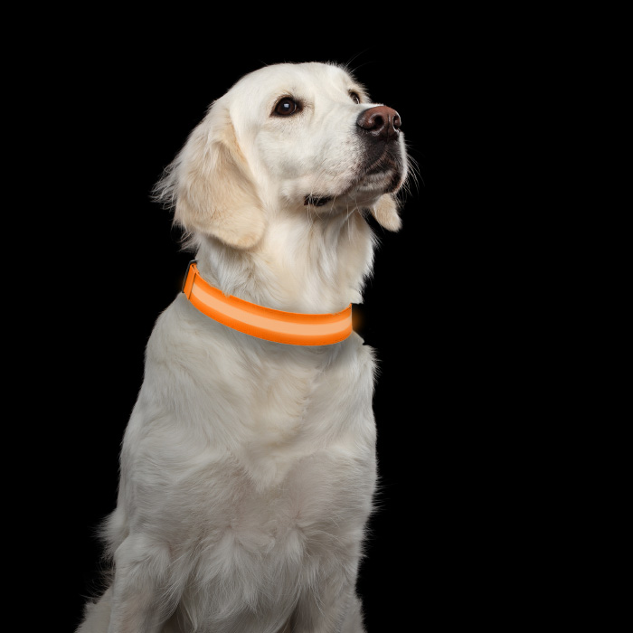 Petmaker 80-pet6127lo Led Large Dog Collar - Orange