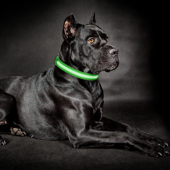Petmaker 80-pet6127xlg Led Extra Large Dog Collar - Green