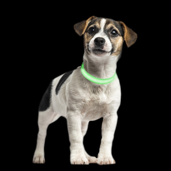 Petmaker 80-pet6127xsg Led Extra Small Dog Collar - Green