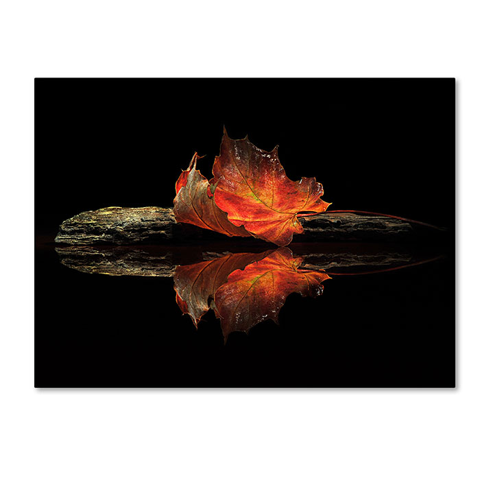 Trademark 1x00115-c1824gg 18 X 24 In. Autumn Colors Canvas Art - Aida Ianeva
