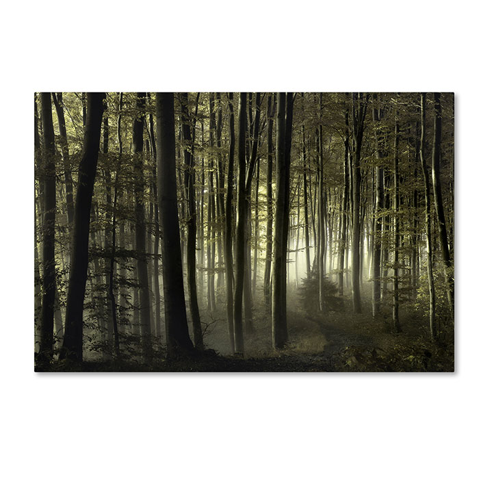 Trademark 1x00218-c1624gg 16 X 24 In. Into The Unknown Canvas Art - Norbert Maier