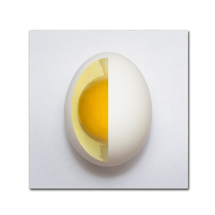 Trademark 1x00277-c1414gg 14 X 14 In. Inner Egg Canvas Art - Adelino Alves