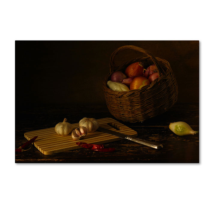 Trademark 1x00294-c1624gg 16 X 24 In. Still Life With Colors Onions & Garlic Canvas Art - Ustina Green