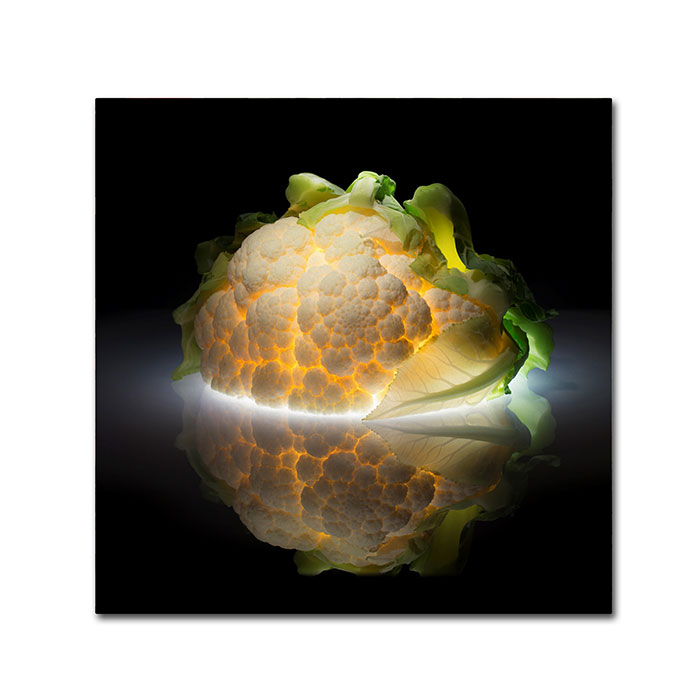 Trademark 1x00964-c1414gg 14 X 14 In. Cauliflower Canvas Art - Wieteke De Kogel