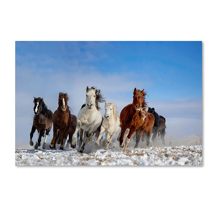 Trademark 1x00985-c1624gg 16 X 24 In. Mongolia Horses Canvas Art - Libby Zhang