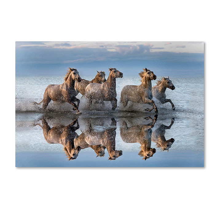 Trademark 1x01253-c1219gg 12 X 19 In. Horses & Reflection Canvas Art - Xavier Ortega