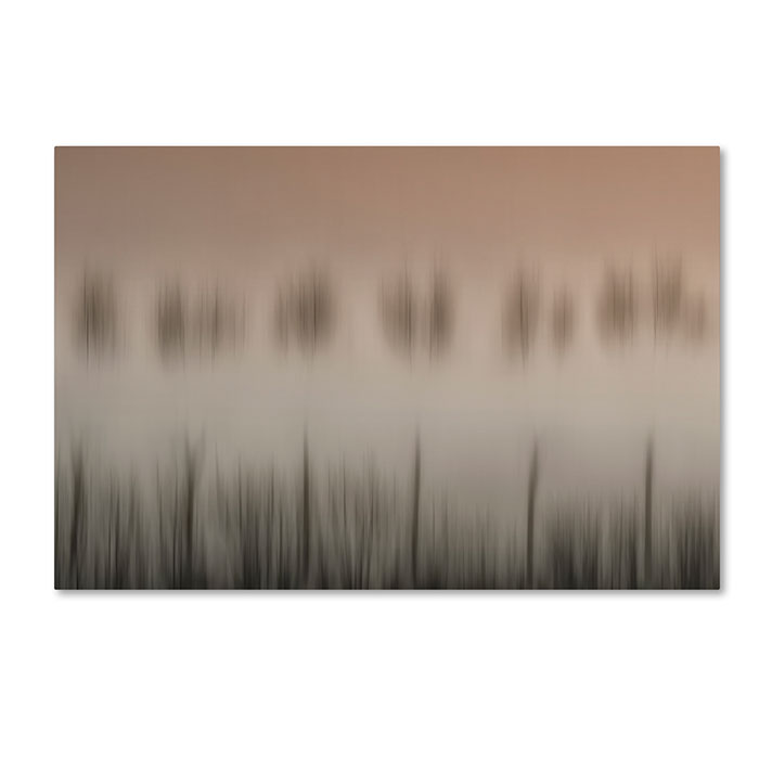 Trademark 1x01268-c1624gg 16 X 24 In. The Magic Of A Foggy Morning Canvas Art - Yvette Depaepe