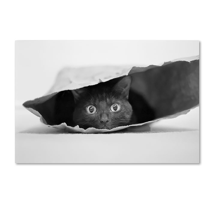 Trademark 1x00143-c1624gg 16 X 24 In. Cat In A Bag Canvas Art - Jeremy Holthuysen