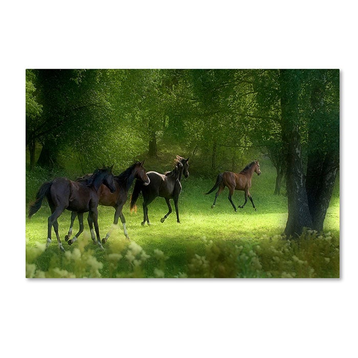 Trademark 1x00196-c1219gg 12 X 19 In. Running Horses Canvas Art - Allan Wallberg