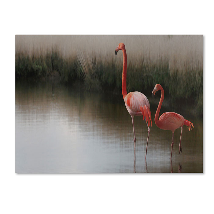 Trademark 1x00293-c1419gg 14 X 19 In. Red Flamingo Canvas Art - Anna Cseresnjes