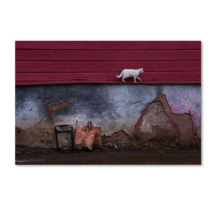 Trademark 1x00691-c1624gg 16 X 24 In. The Cat That Walked By Himself Canvas Art - Anna Kudriavtseva