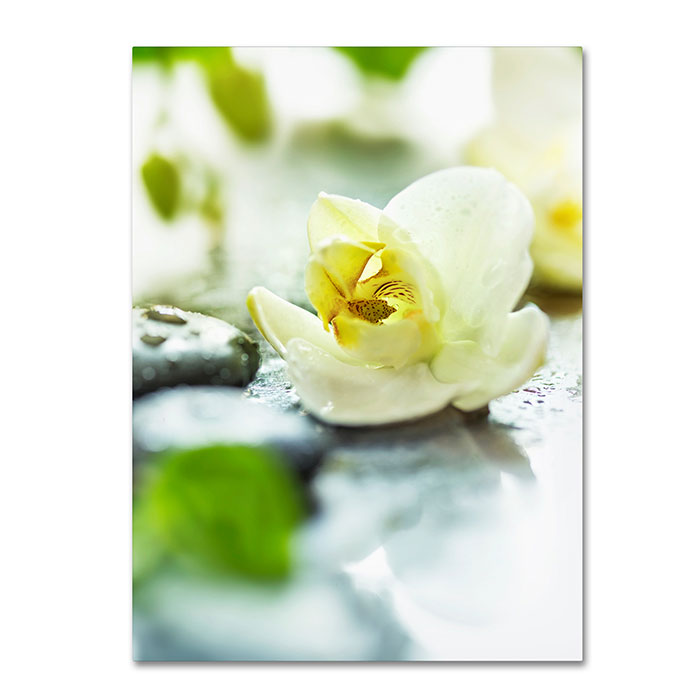 Trademark 1x00754-c1824gg 18 X 24 In. Zen Orchid Canvas Art - Johanna