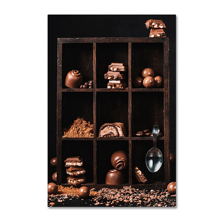Trademark 1x00854-c1624gg 16 X 24 In. Chocolate Collection Canvas Art - Dina Belenko