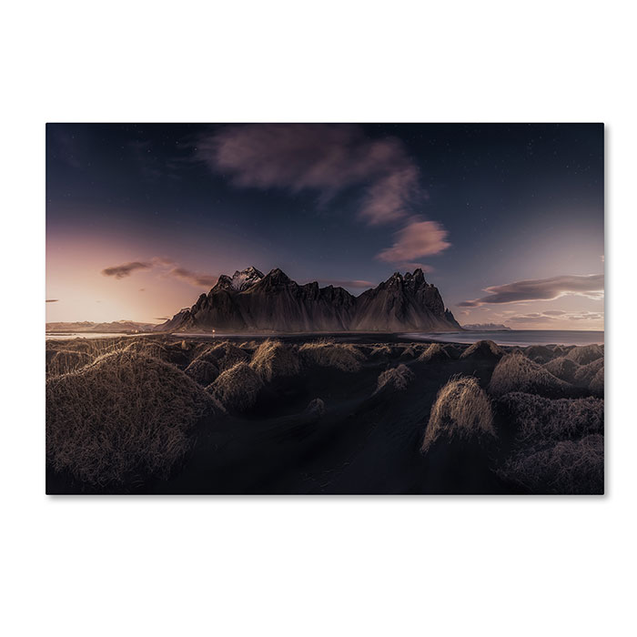 Trademark 1x01078-c1219gg 12 X 19 In. Since The End Of The Day Canvas Art - Javier De La