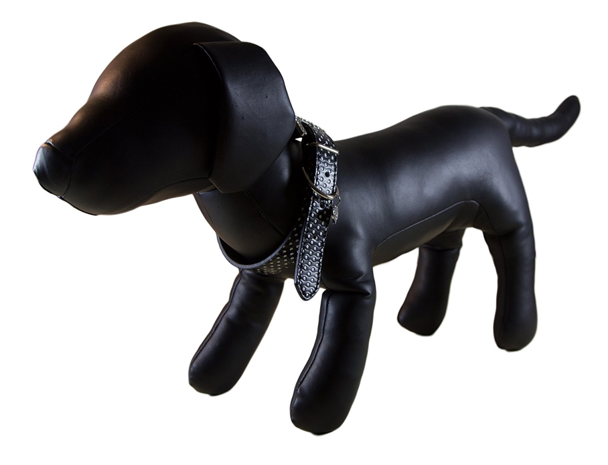 Cp046bks Polka Dot With Heart Shaped Pendant Dog Collar - Black, Small