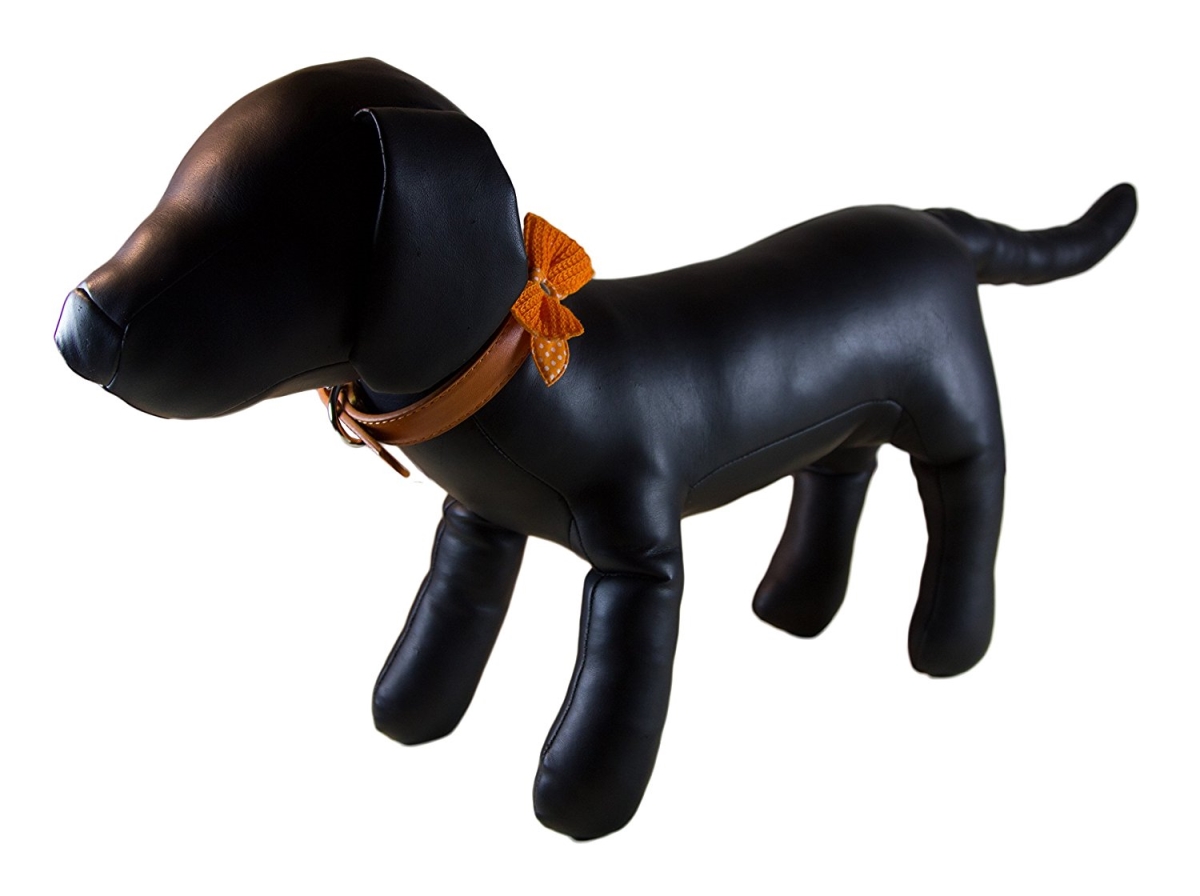 Polka Dot Bow Tie Dog Collar - Orange, Small