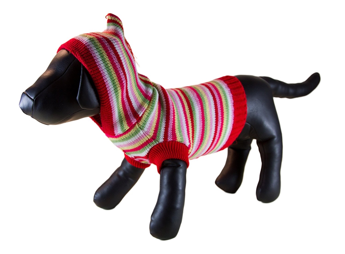 Multicolor Stripe Dog Hoodie - Small