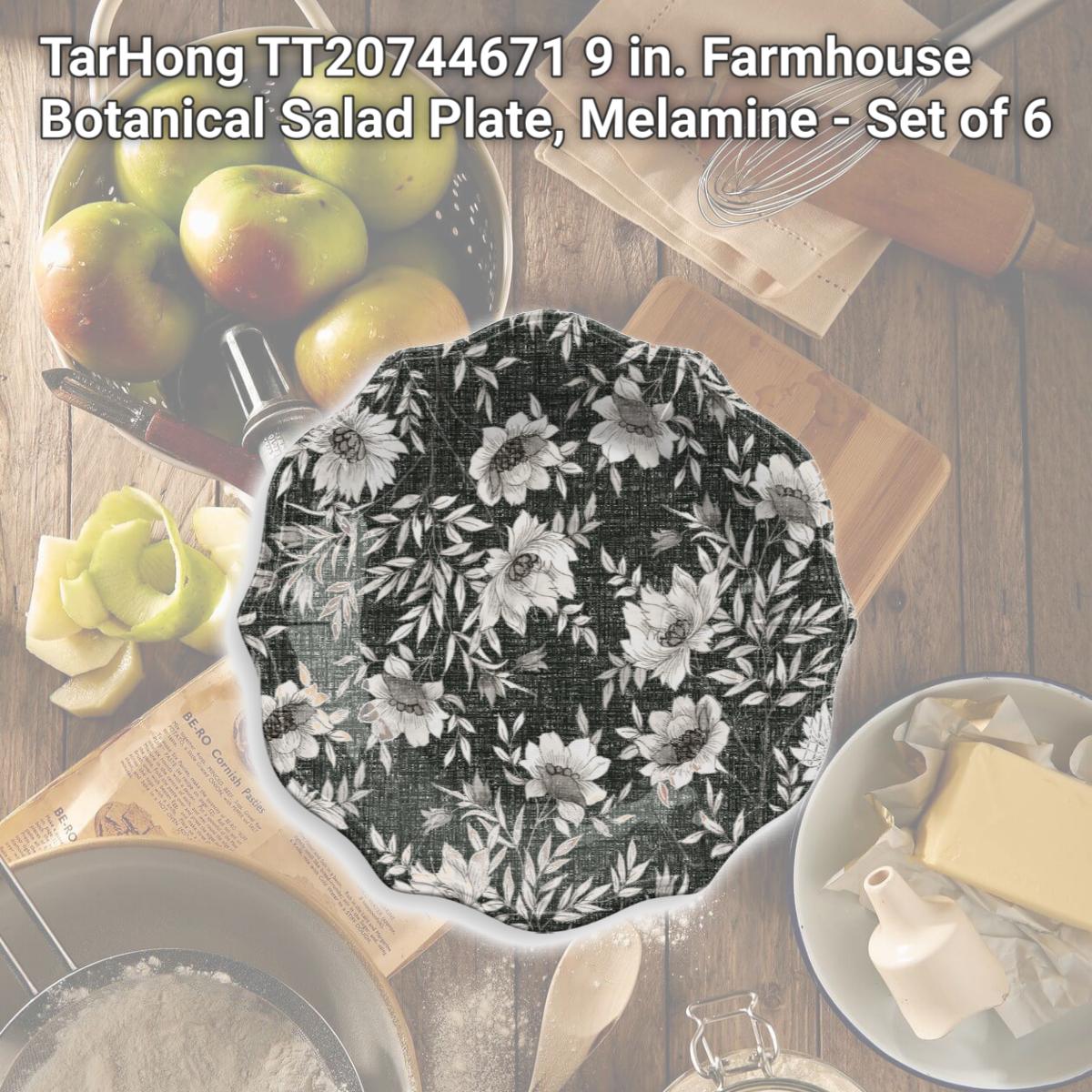 Picture of TarHong TT20744671 9 in. Farmhouse Botanical Salad Plate, Melamine - Set of 6