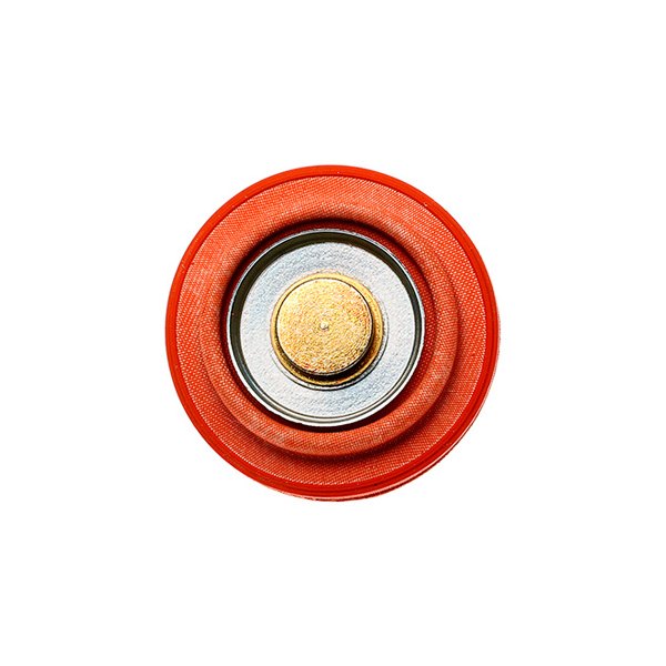Fuel Pressure Regulator Replacement Diaphragm