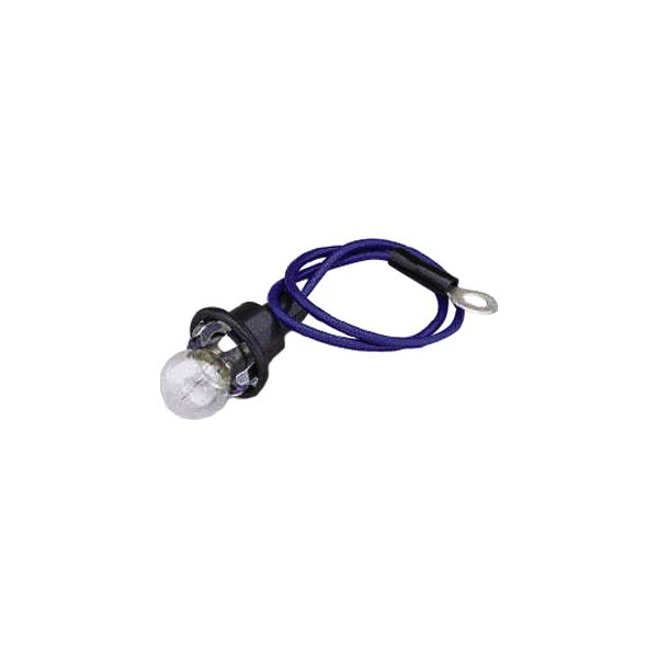 Speedo Light Socket