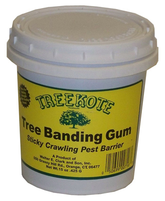 223012 15 Oz Tree Banding Gum