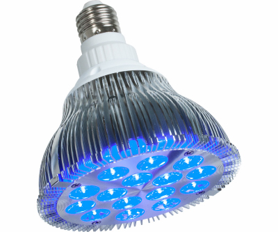 212928 Powerpar Led Hydroponic Bulb, 15 W - Blue