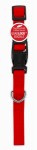 Products 0.62 X 16 In. Pet Expert Dog Collar, Red