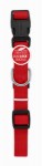 Products 0.37 X 12 In. Pet Expert Dog Collar, Red