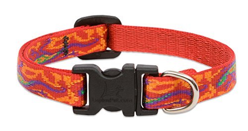 Lupine 223702 0.5 X 10-16 In. Adjustable Dog Collar