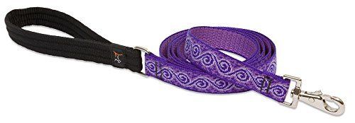 Lupine 223735 1 X 6 In. Jelly Roll Dog Leash