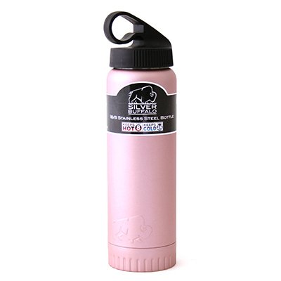 230876 20 Oz Double Wall Stainless Steel Water Bottle - Pink