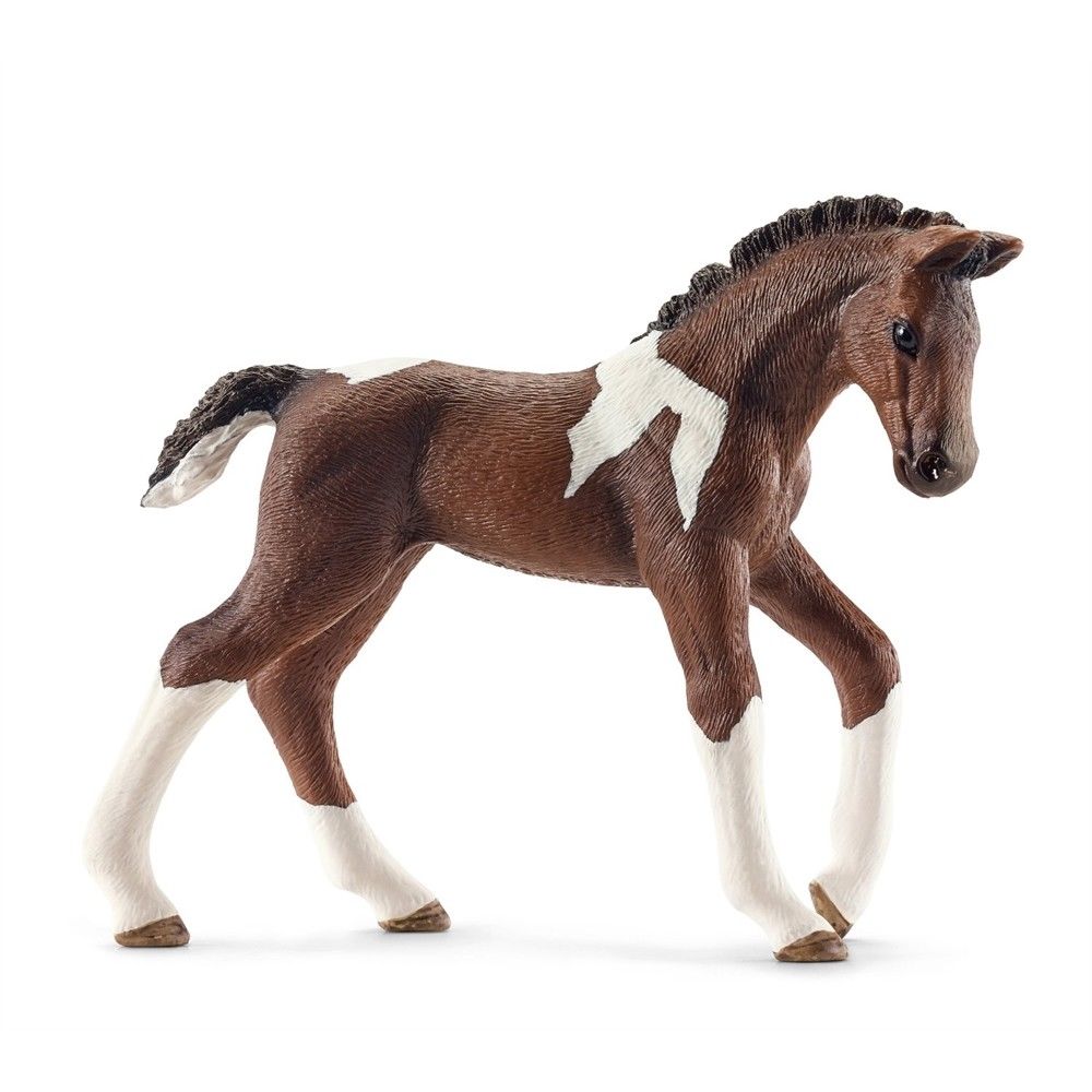 239997 Trakehner Foal - Brown & White