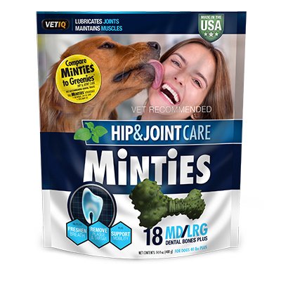 236148 Vet Iq Minties Dental Bone Dog Treat, 18 Piece