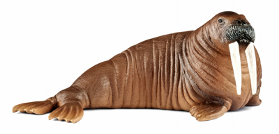 240002 Walrus Toy For Ages 3 & Up - Brown