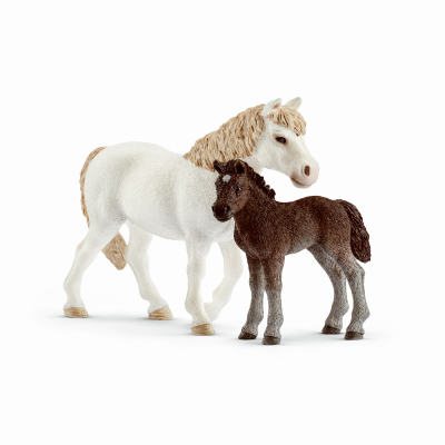 241054 White Pony Mare & Brown Foal For Ages 3 & Up