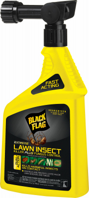 231237 32 Oz Black Flag Ready To Spray Lawn Insect Killer With Fungus Control