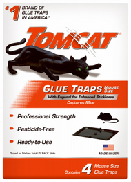 254256 Mouse & Insect Glue Trap, Pack Of 6
