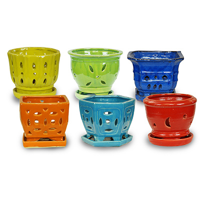 256605 5.5 In. Rainbow Orchid Pot, Pack Of 12
