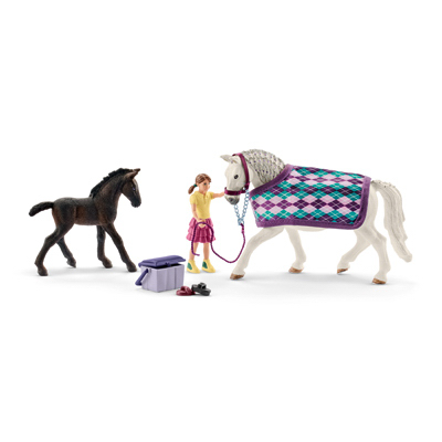 255210 Lipizzaner Care, Assorted Color